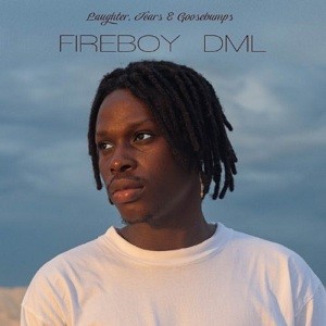 Fireboy DML - What If I Say