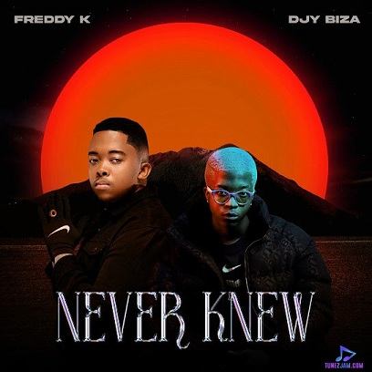 Freddy K - We Are One ft Djy Biza