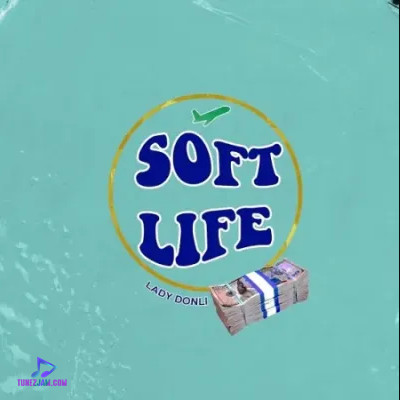 Lady Donli - Soft Life