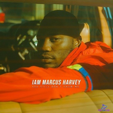 Marcus Harvey - Don't Think About It Too Much