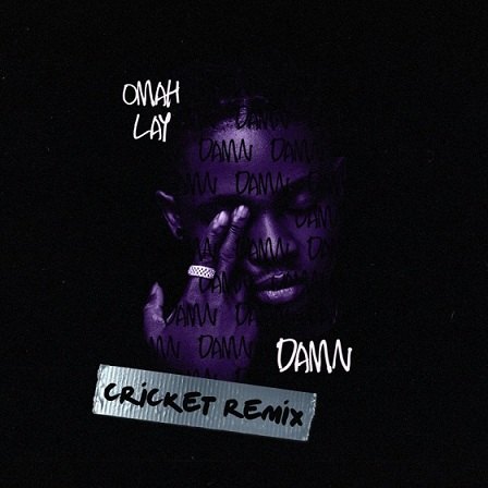 Omah Lay - Damn (Cricket Remix)