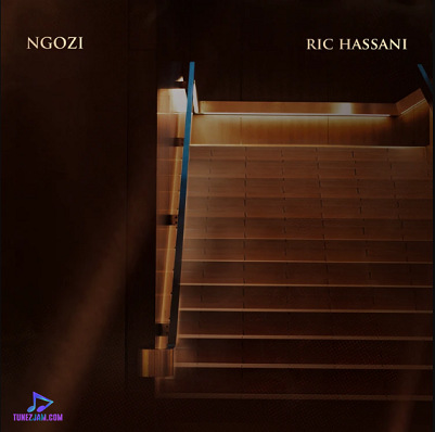 Ric Hassani - Ngozi