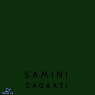 Samini - Agro ft Sway