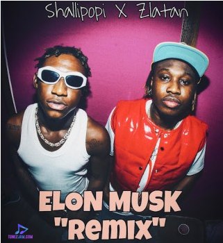 Shallipopi - Elon Musk (Remix) ft Zlatan