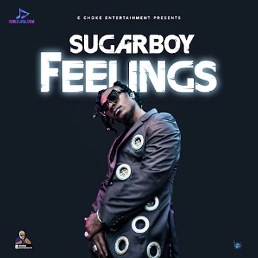 Sugarboy - Feelings